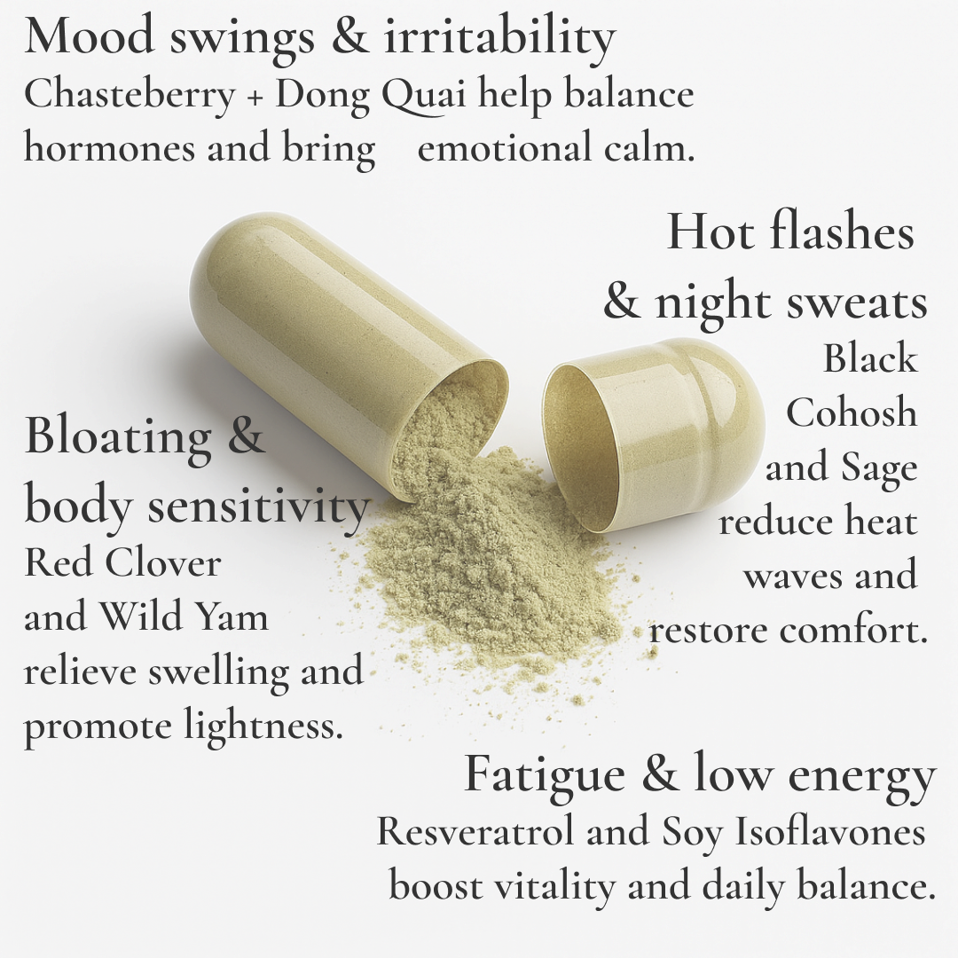 N•A Timeless Cycle Complex